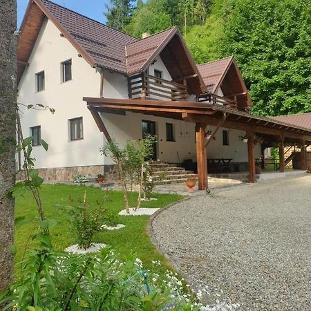 Pensiunea Cheile Repezii Borsa  Exterior photo
