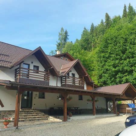 Pensiunea Cheile Repezii Borsa  Exterior photo