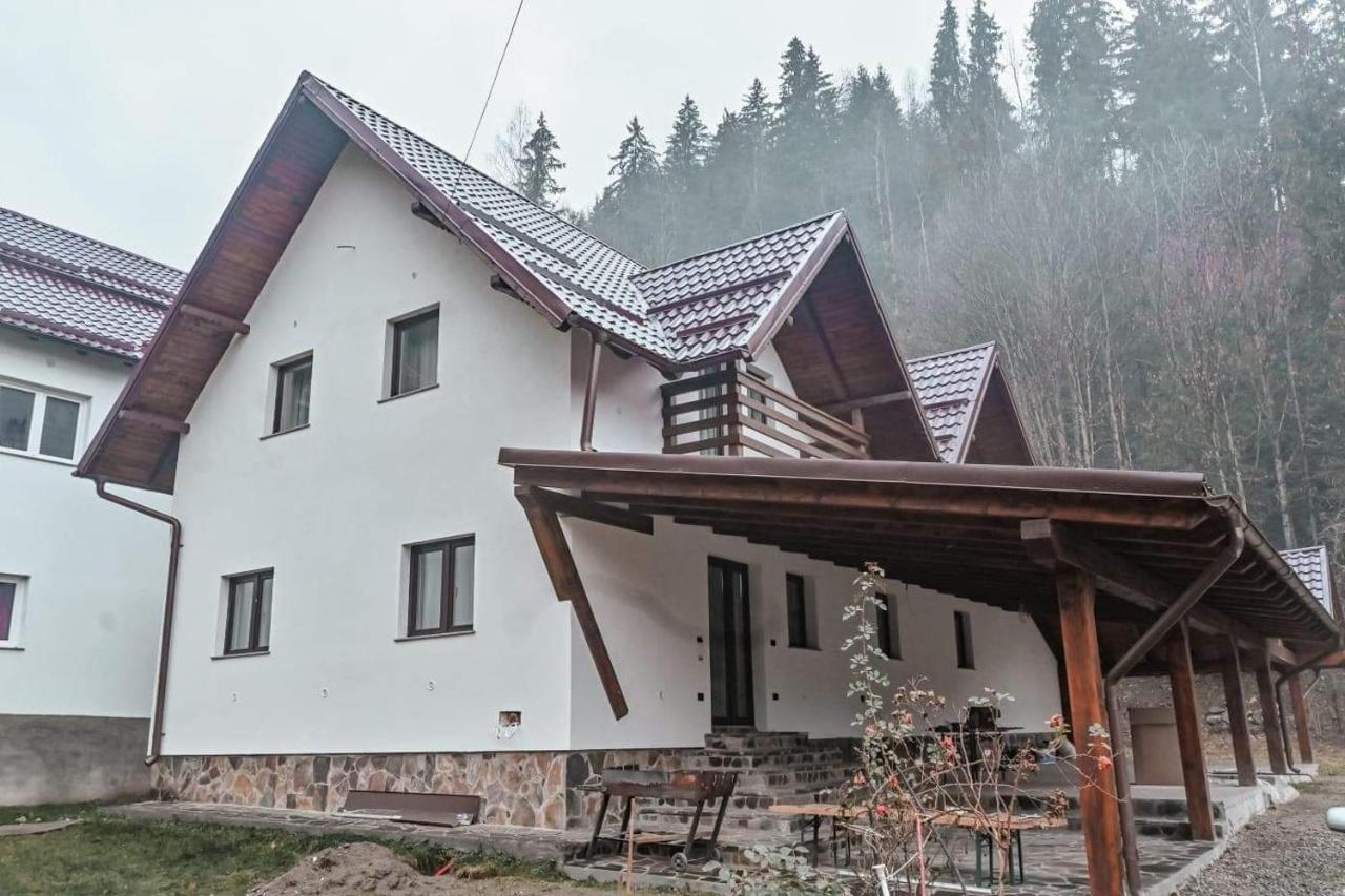 Pensiunea Cheile Repezii Borsa  Exterior photo