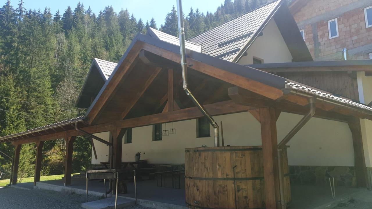 Pensiunea Cheile Repezii Borsa  Exterior photo