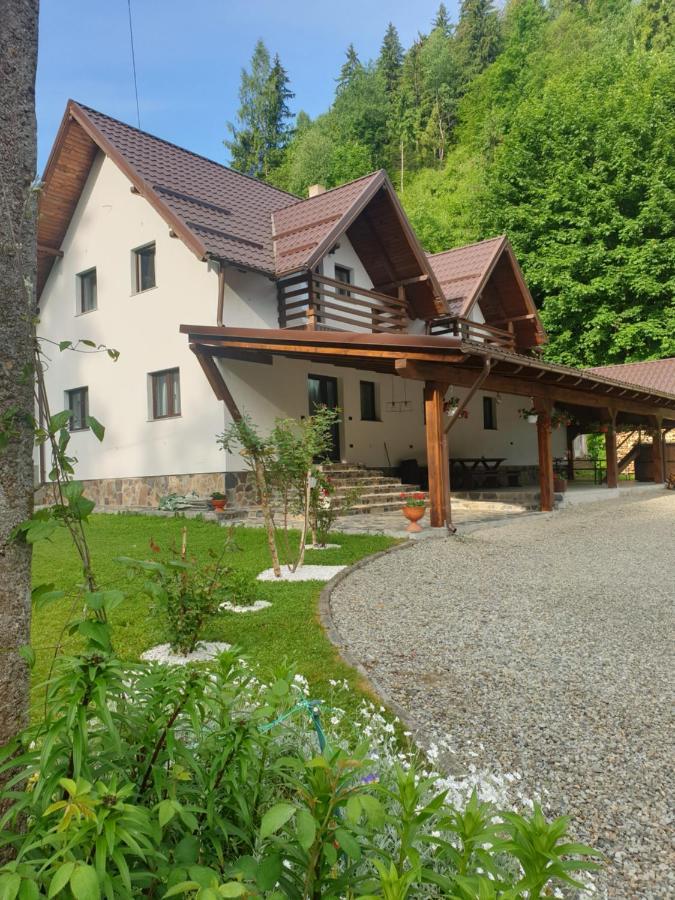 Pensiunea Cheile Repezii Borsa  Exterior photo