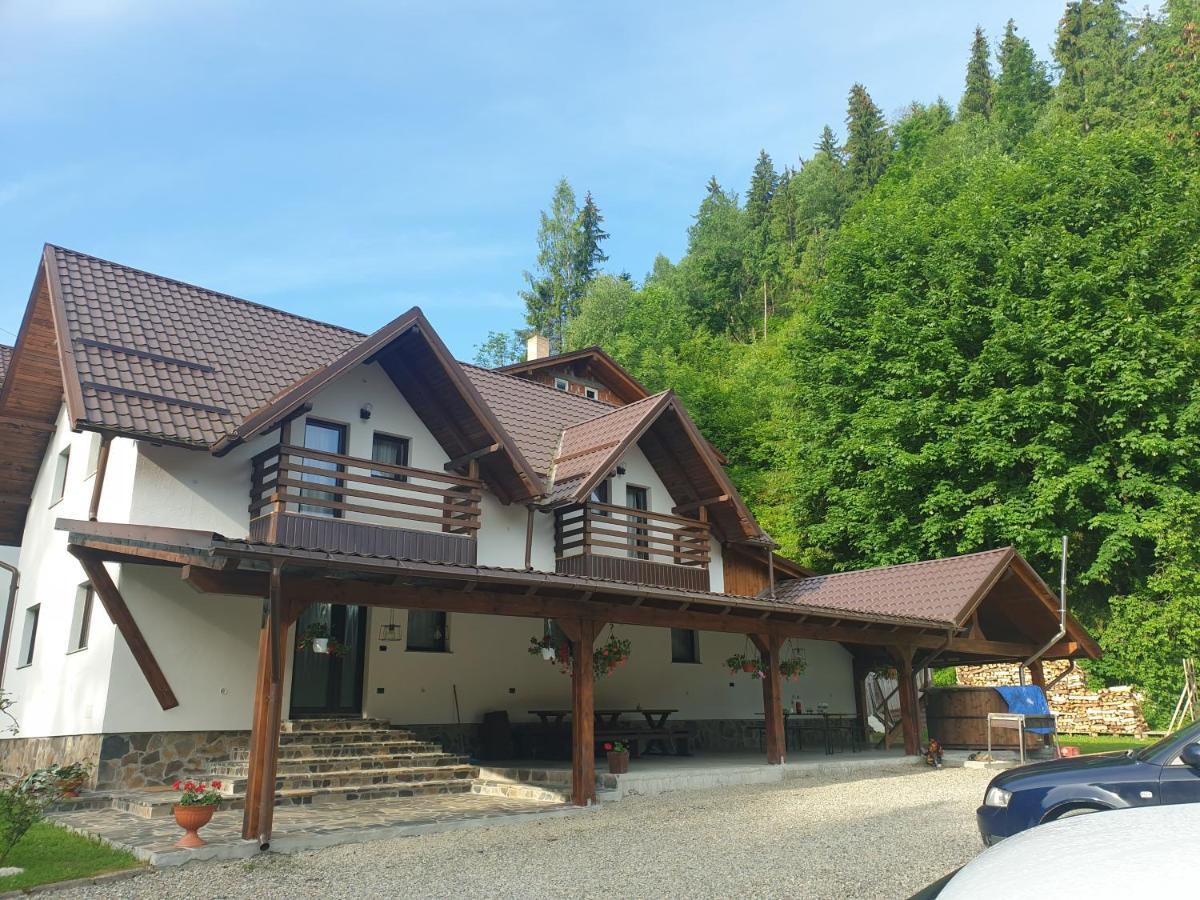 Pensiunea Cheile Repezii Borsa  Exterior photo
